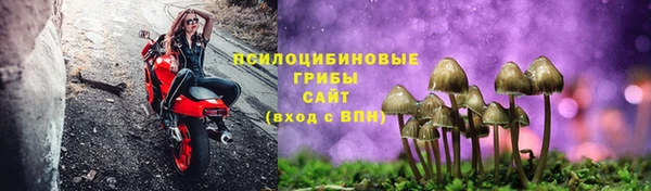 ешки Майский